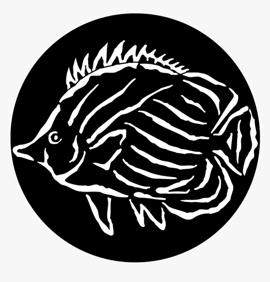 Apollo Sea Tropical Fish - Illustration, HD Png Download