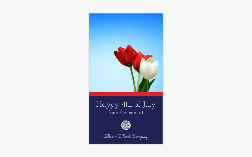 Happy 4th Of July Instagram Story Template Preview - Sprenger's Tulip, HD Png Download
