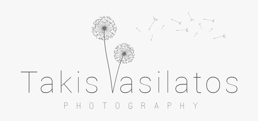 Takis Vasilattos Photography - Dandelion, HD Png Download