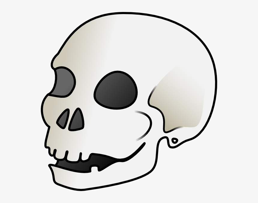 Cartoon Skull Png - Skull Clip Art, Transparent Png