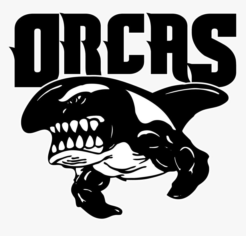 Blank Poster Png, Transparent Png