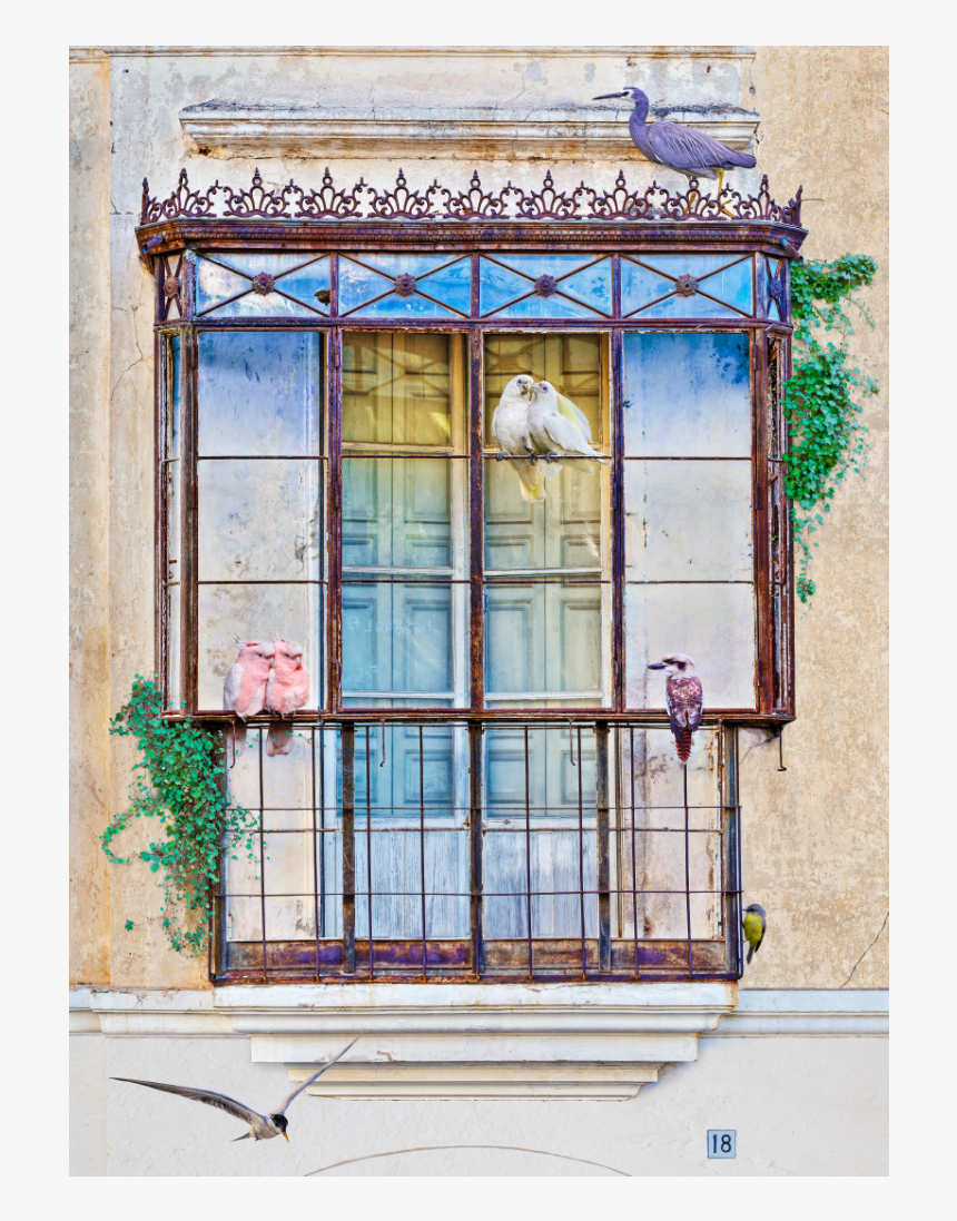 Balcon Web - Sash Window, HD Png Download