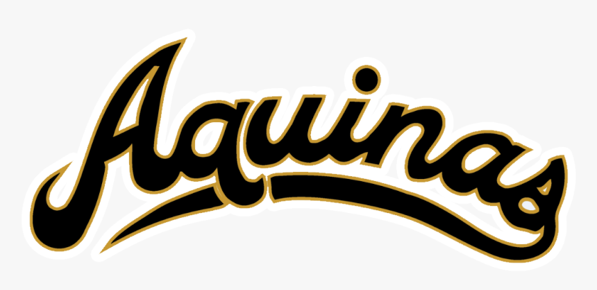 School Logo - St Thomas Aquinas High School Ohio, HD Png Download