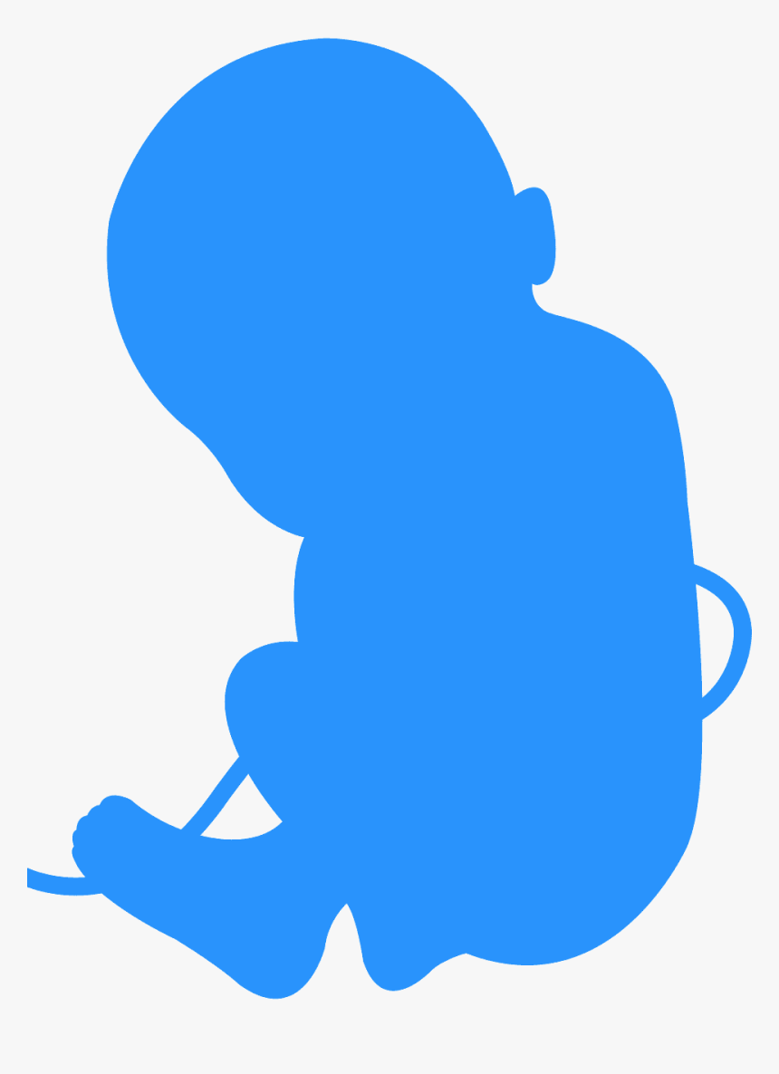 Fetus Silhouette, HD Png Download