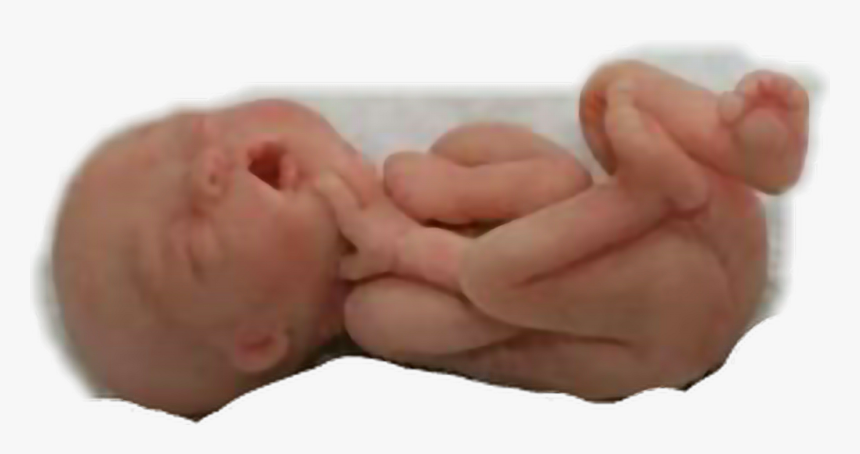 #baby #fetus #pregnant #freetoedit - Baby, HD Png Download