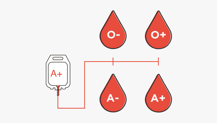 Sangre Png, Transparent Png