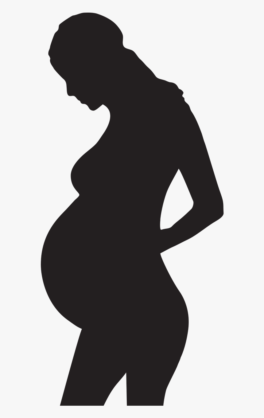 Pregnancy Graphic, HD Png Download