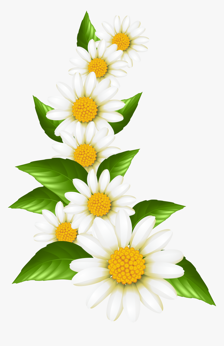 Confetti Clipart, Confetti Borders, Digital Confetti, - Daisy Clipart, HD Png Download