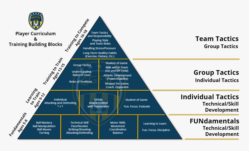 Building Blocks Of Curriculum, HD Png Download