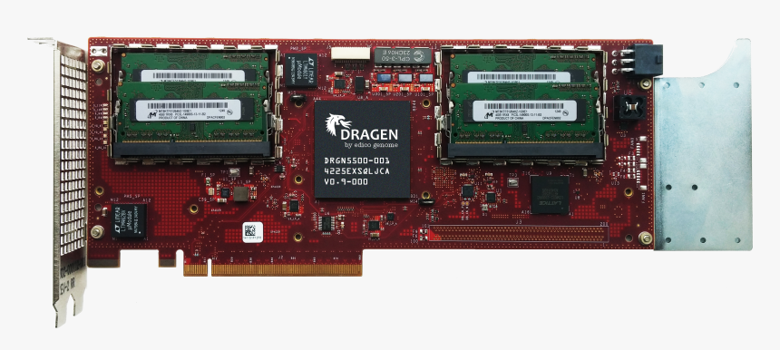 Dragen Board With Chip And Memory - Video Card, HD Png Download