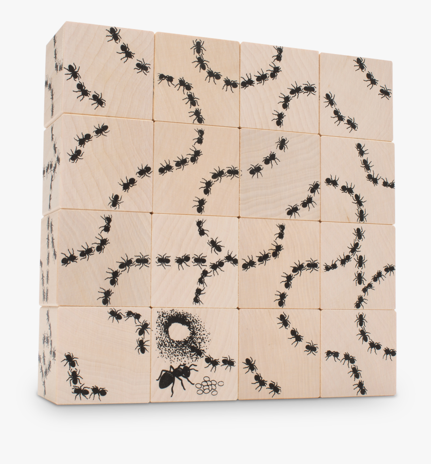 Antics Ant Building Blocks - Wallet, HD Png Download
