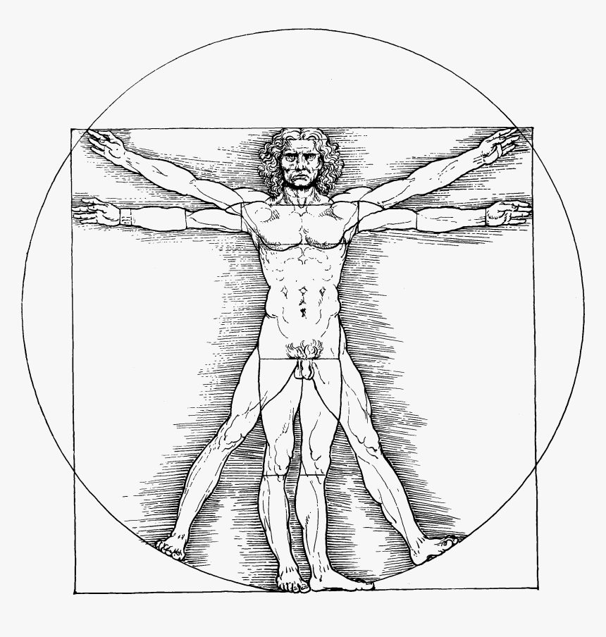 Drawing Leg Leonardo - Da Vinci Vitruvian Man Png, Transparent Png