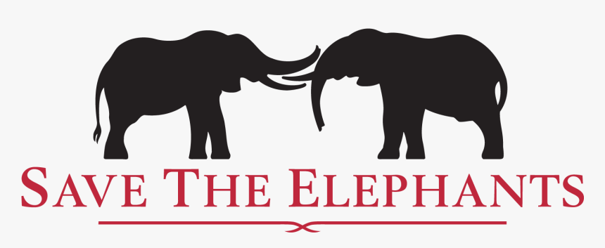 Save The Elephants Logo, HD Png Download
