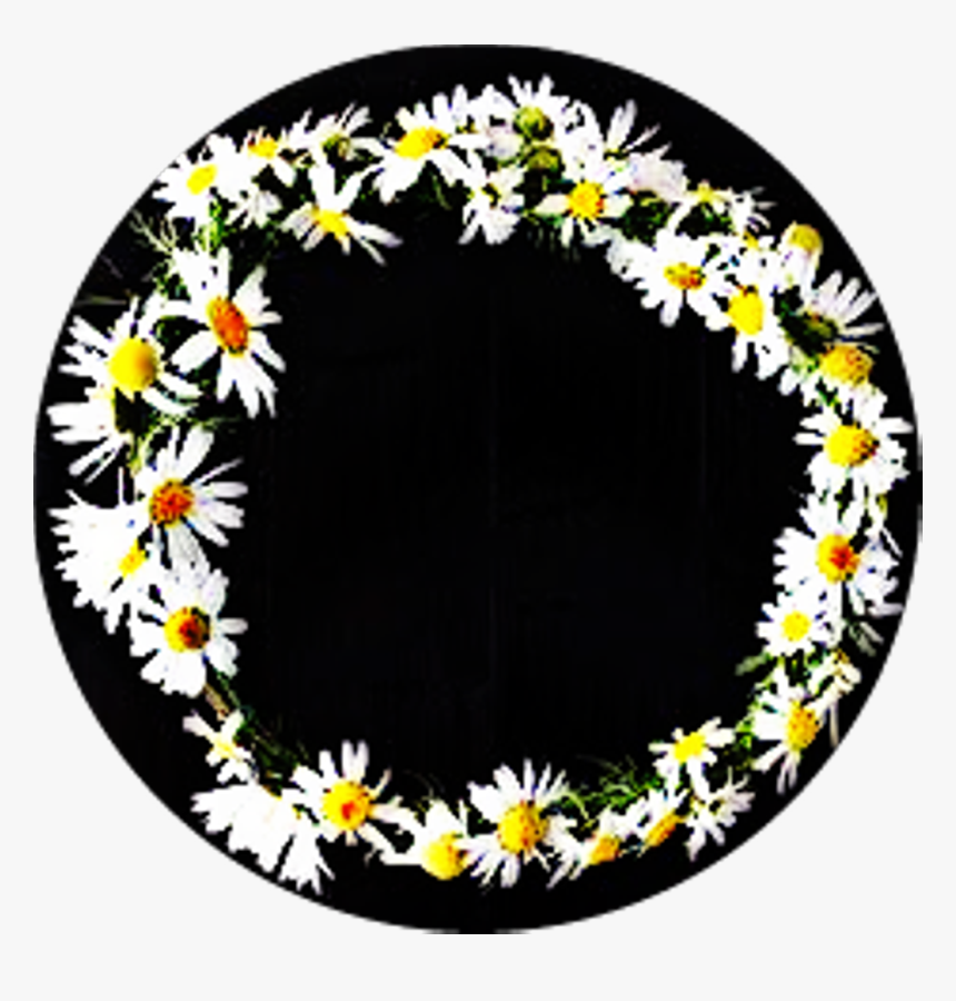 Corona De Margaritas Frases Todaypic Clipart , Png - Circle, Transparent Png