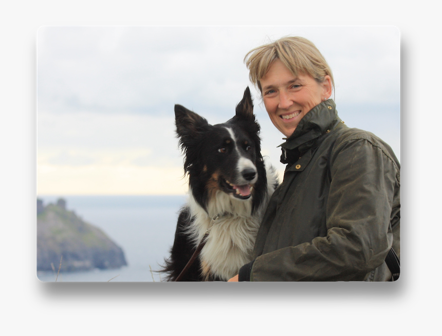 Border Collie, HD Png Download