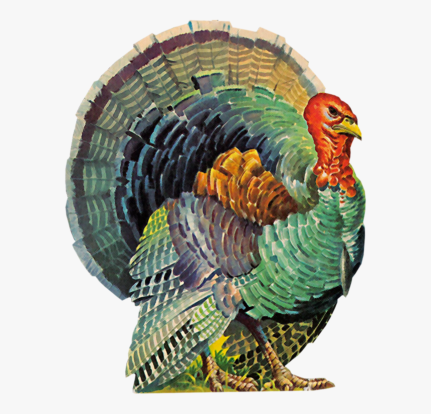 Images, Printables, & Digital Scrapbooking Buttons - Turkey Thanksgiving Thank You, HD Png Download