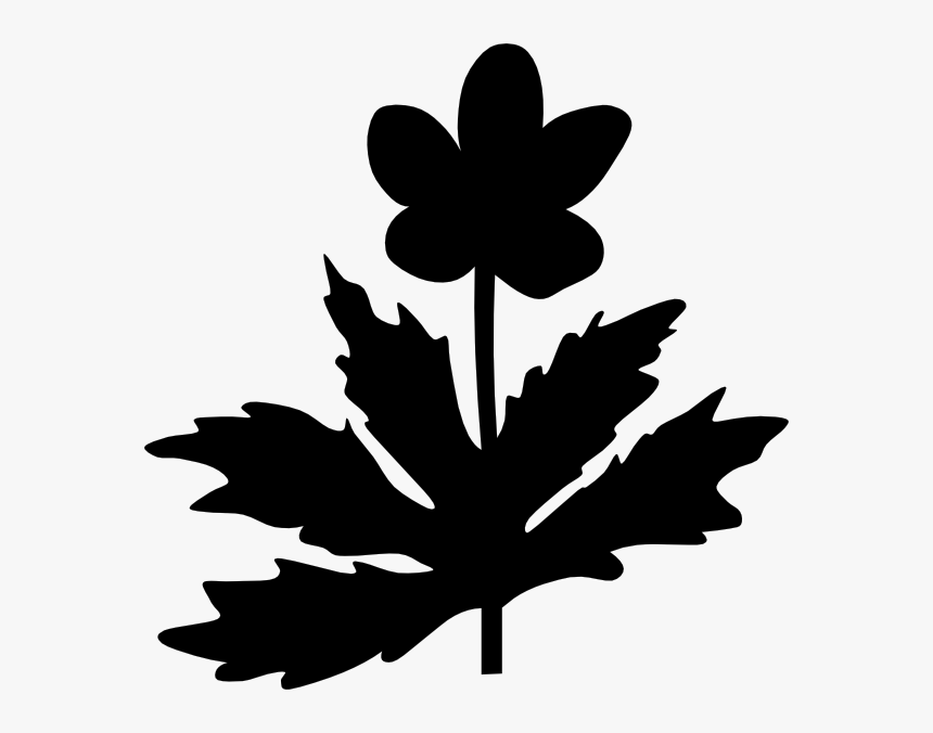 Maple Leaf Clip Art Silhouette Flower - Maple Leaf, HD Png Download