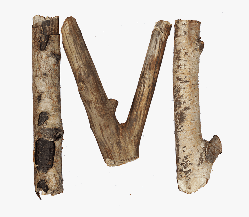 Dry Twigs Font - Wood Letters Png M, Transparent Png
