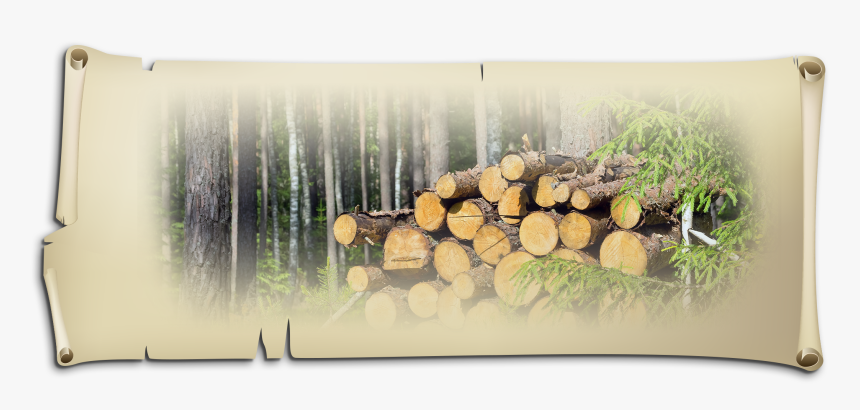 Wood With The Birch Bark And Then Build Up The Logs - Lumber, HD Png Download