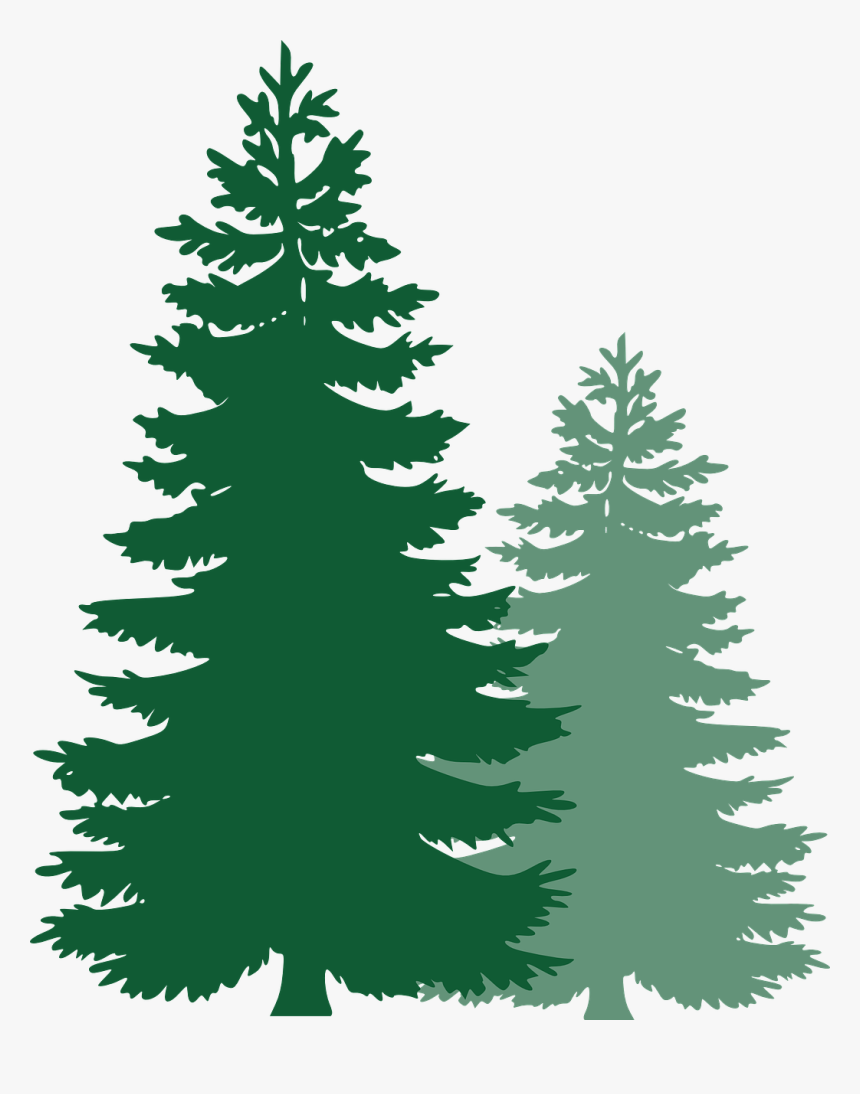 Free Image On Pixabay - Vector Pine Tree Png, Transparent Png
