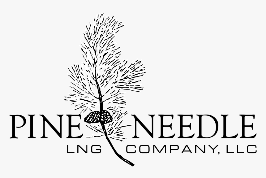 Pine Needle Logo Black And White - Dunfermline Building Society, HD Png Download