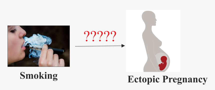 Does Smoking Cause Ectopic Pregnancy - No Smoking, HD Png Download