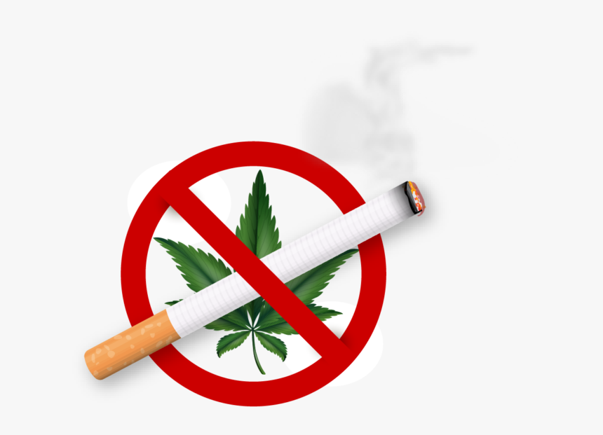 Smoking Cannabis Around Pets Could Also Cause Respiratory - World Tobacco Day 2017, HD Png Download