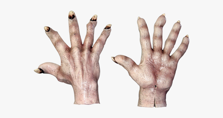 This Alt Value Should Not Be Empty If You Assign Primary - Hand Monster Png, Transparent Png