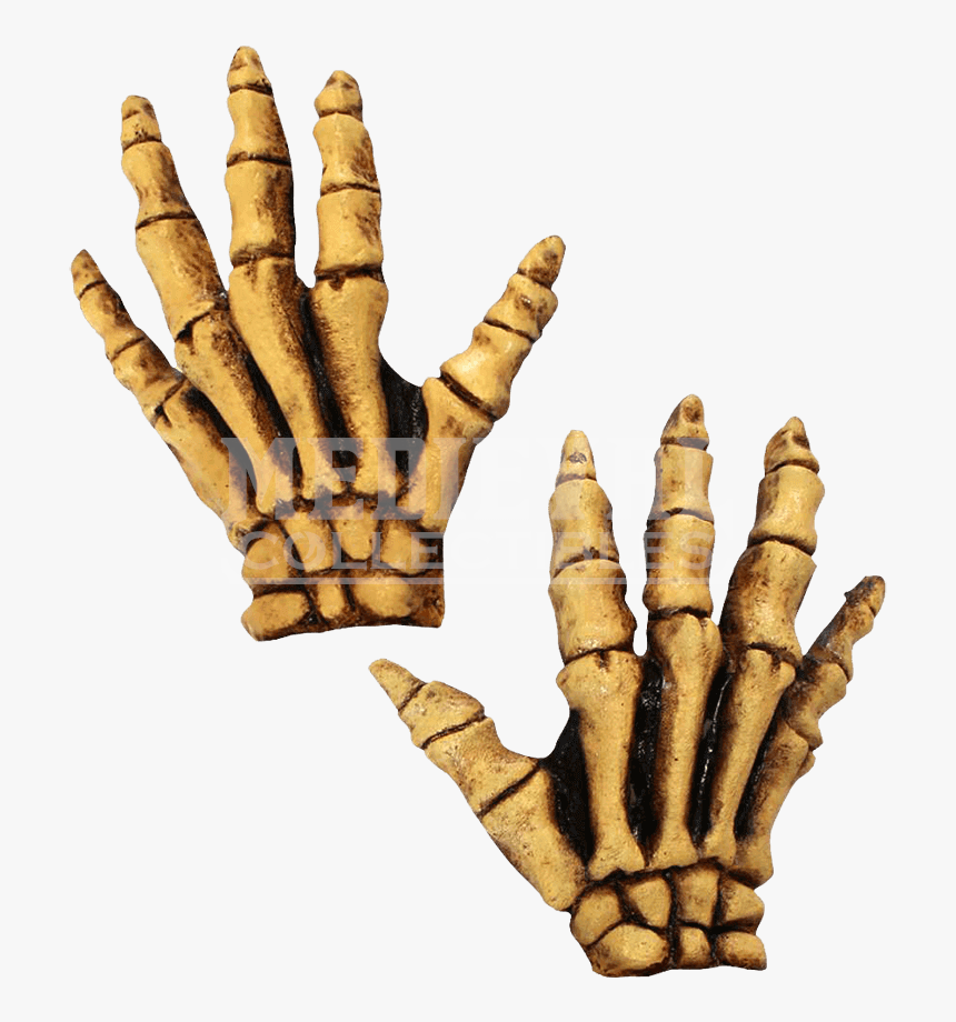 Human Skeleton Glove Costume Bone - Latex Skeleton Gloves, HD Png Download
