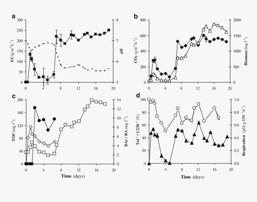 Diagram, HD Png Download
