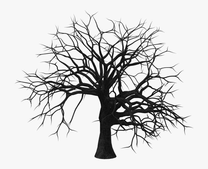 Clipart Leaf Hickory - Vector Dry Tree Png, Transparent Png
