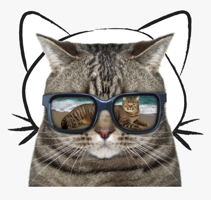 Cat With Sunglasses Royalty Free, HD Png Download