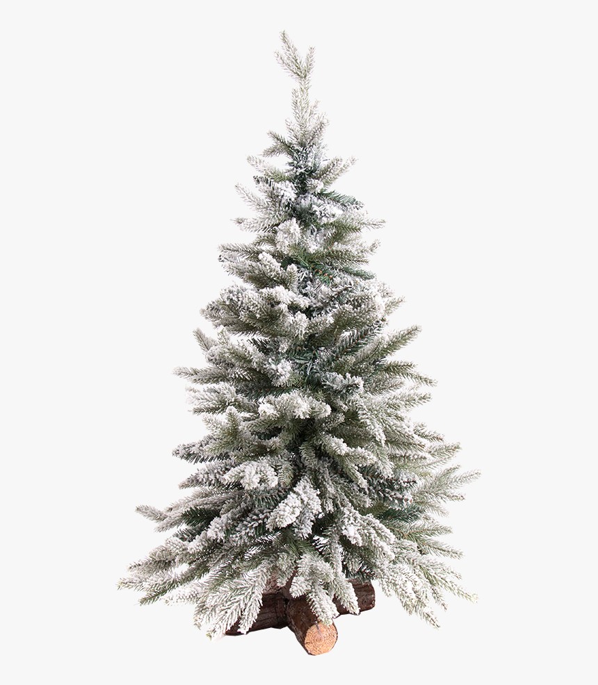 Christmas Tree Snowy, - Snowy Christmas Tree Png, Transparent Png