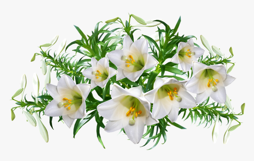 Lilies, Flowers, Perfume, Arrangement, Garden, Nature - Perfume Flowers Png, Transparent Png