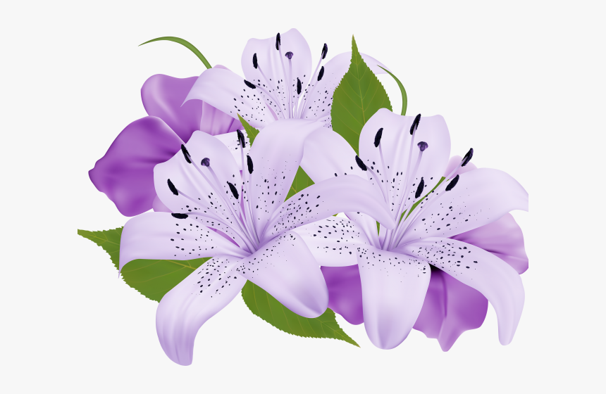 Lily Clipart Sea Flower - Purple Flowers Clipart Png, Transparent Png