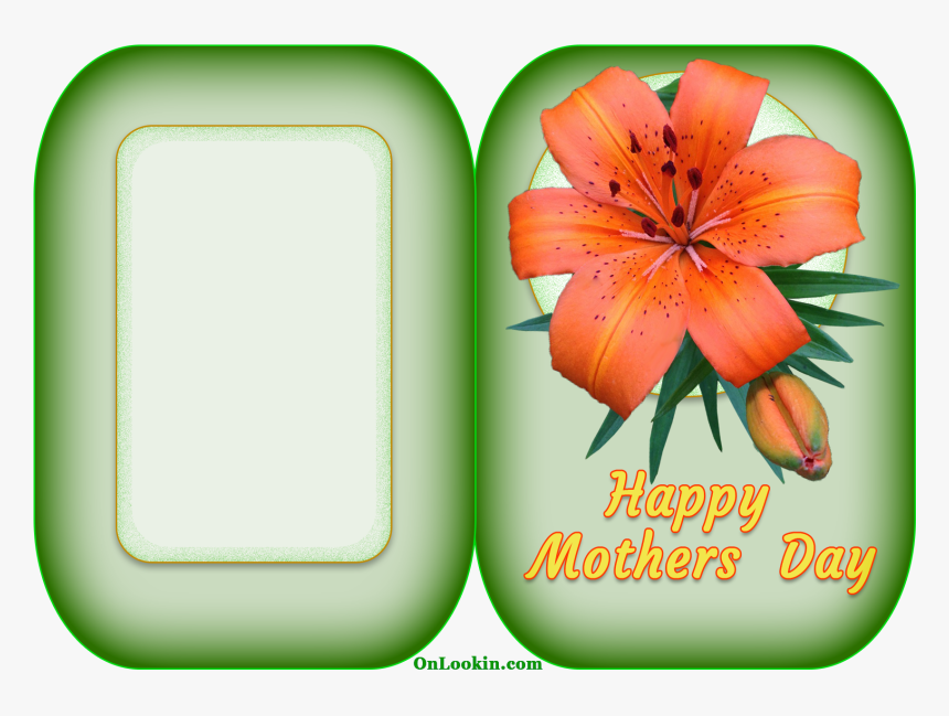 Happy Mothers Day Tiger Lily Flower A4 Card - Mother's Day, HD Png Download