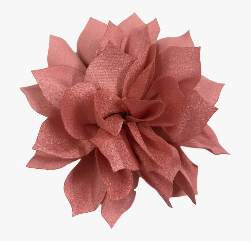 Dahlia, HD Png Download