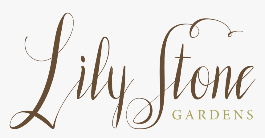 Lily Stone Gardens Logo - Calligraphy, HD Png Download