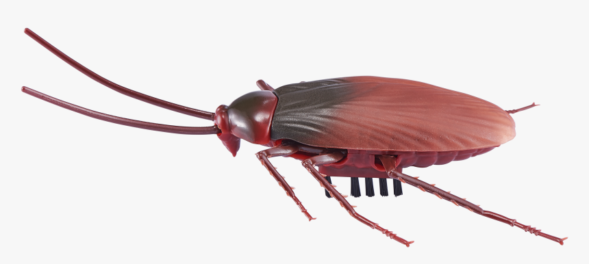 Robo Alive, HD Png Download
