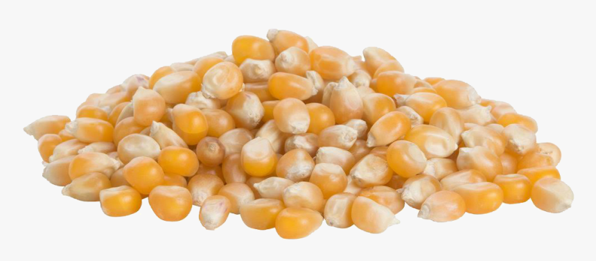 Transparent Pop Corn Png - Corn Kernels, Png Download