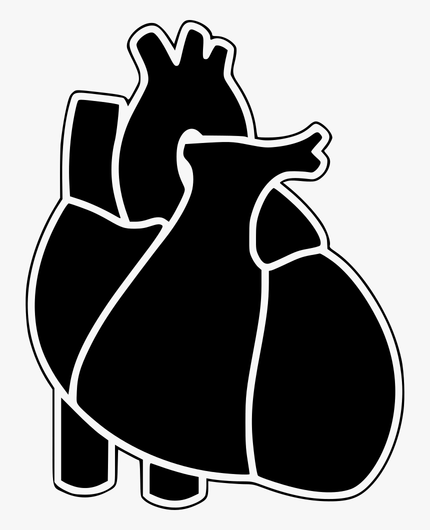 Medical Heart - Illustration, HD Png Download