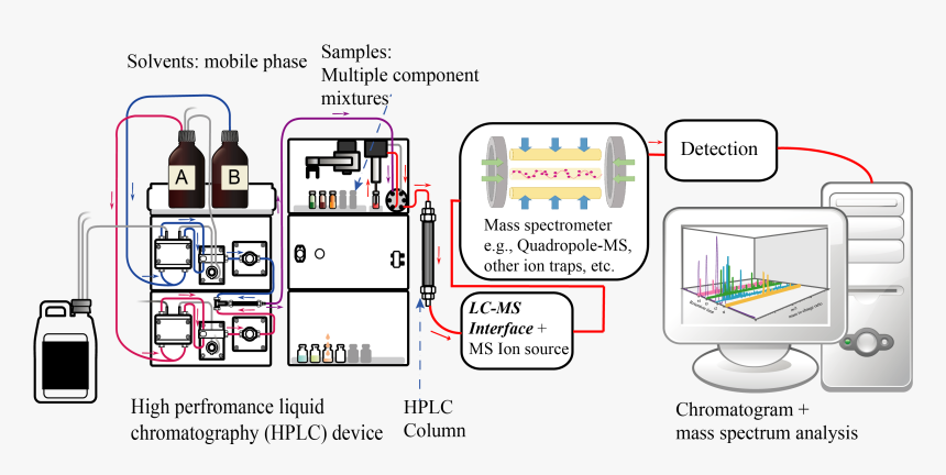 Liquid Chromatography Tandem Mass Spectrometry Diagram - Liquid Chromatography Mass Spectrometer, HD Png Download