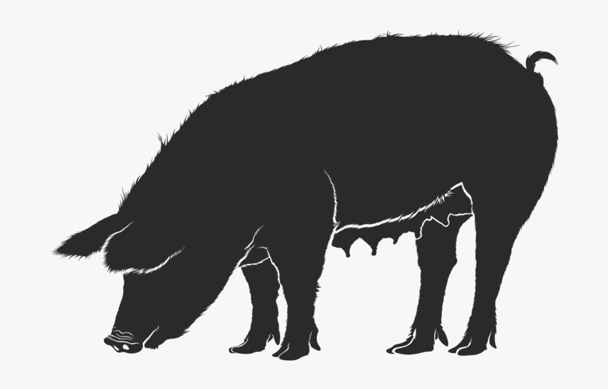 Clipart Pig Silhouette - Silhouettes Of Pig Png, Transparent Png