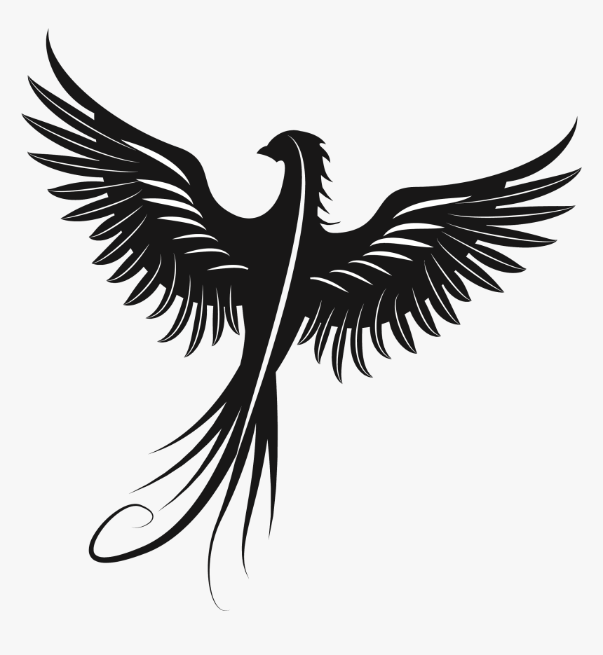 Eagle Silhouette Beak Feather Font - Phoenix Svg Free, HD Png Download