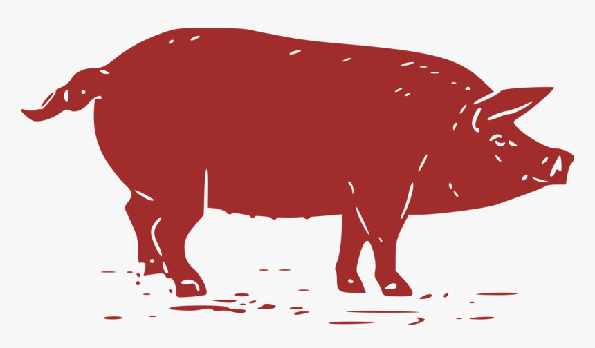 Wildlife,livestock,ox - Pig Graphic, HD Png Download