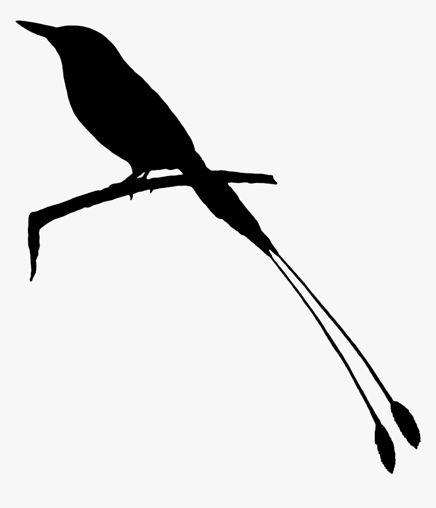 Beak Clip Art Fauna Feather Silhouette - Raven, HD Png Download