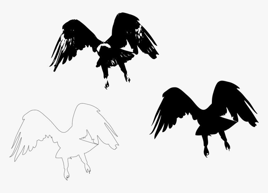 Silhouette Bird Wing Feather - Eagle Cut Out Black, HD Png Download