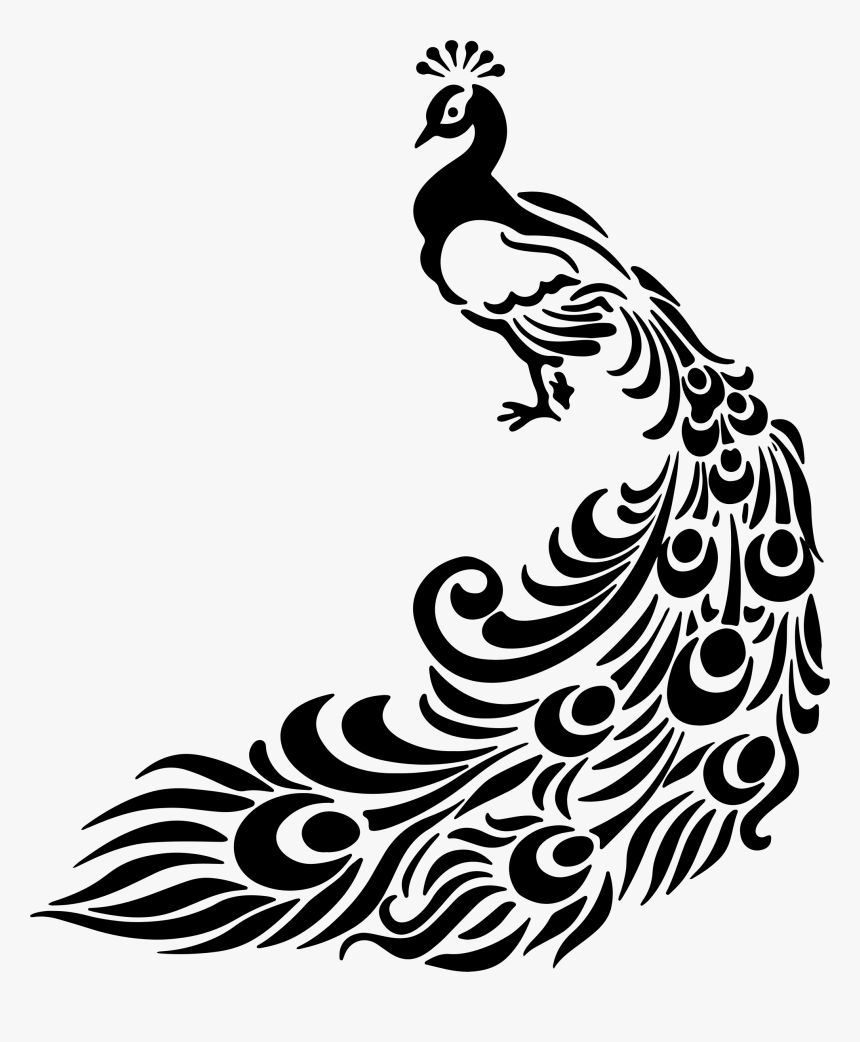 Drawing Line Art Peafowl Clip Art - Black And White Peacock Art, HD Png Download