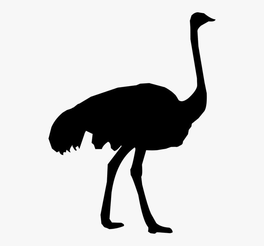 Silhouette, Ostrich, Zoo, Feather, Fauna, Fowl - Ostrich Silhouette Png, Transparent Png