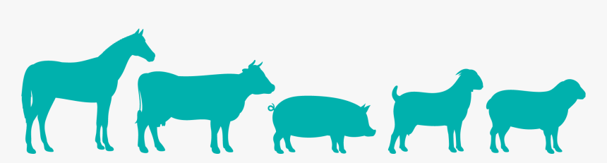 Clip Art, HD Png Download